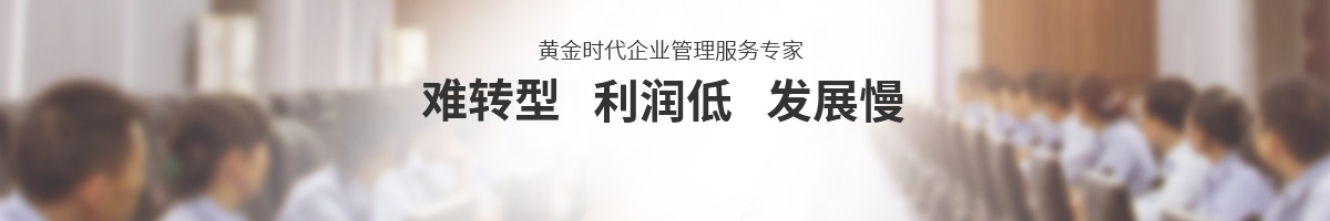 顧問式咨詢項(xiàng)目助力企業(yè)成長(zhǎng)